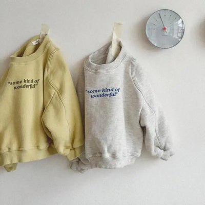 Spring Baby Long Sleeve Pullover Tops - gray - 3T  100cm | Buy on Aleezayn.com